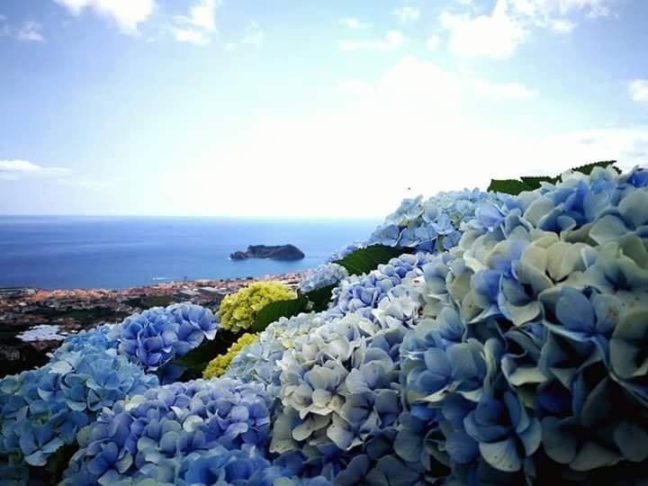 primavera em Portugal