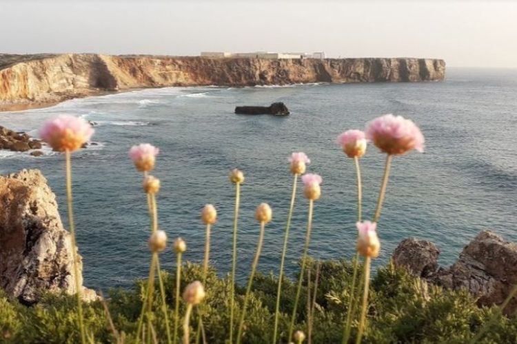 praia do tonel - nacionalidade portuguesa - costa vicentina