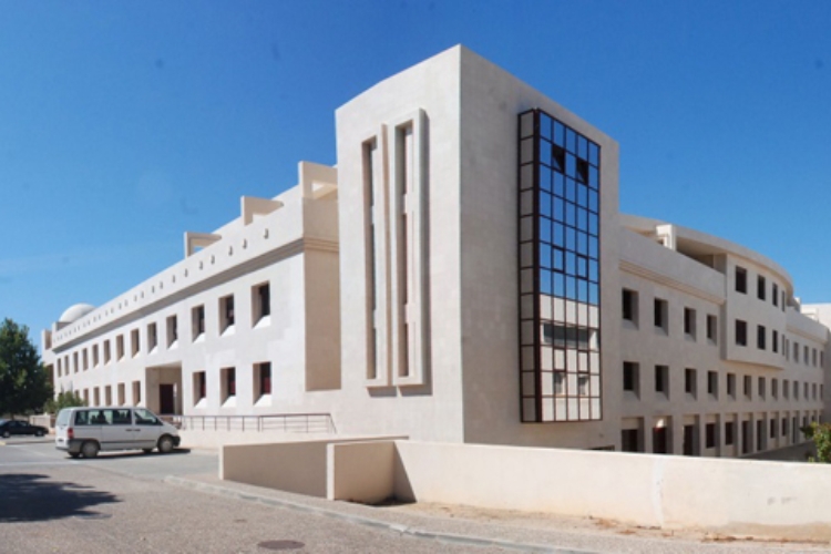 universidade de faro