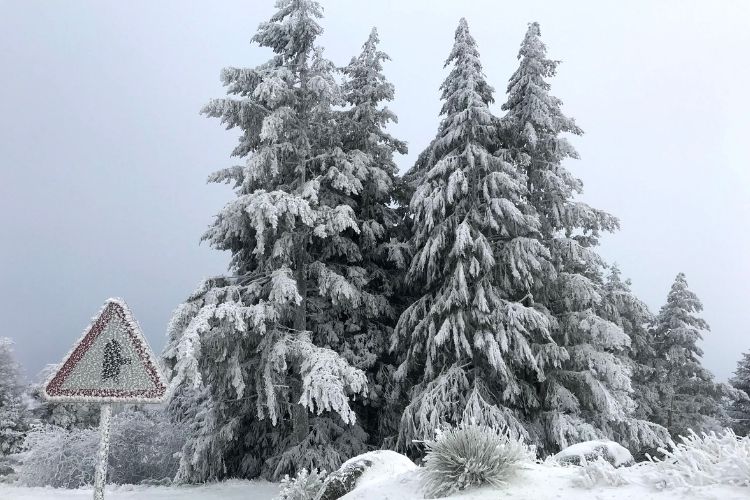 Neve em Portugal