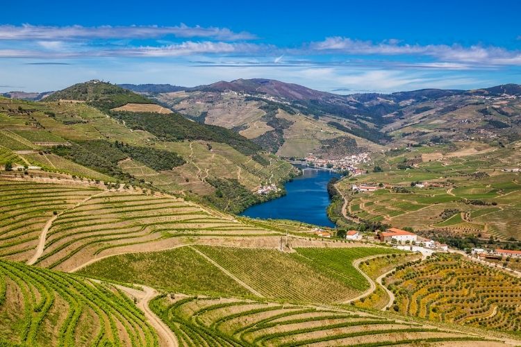 trás os montes e alto douro