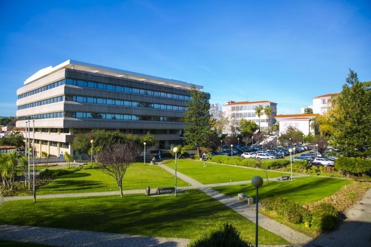 Universidade Cat lica Portuguesa Refer ncia Mundial