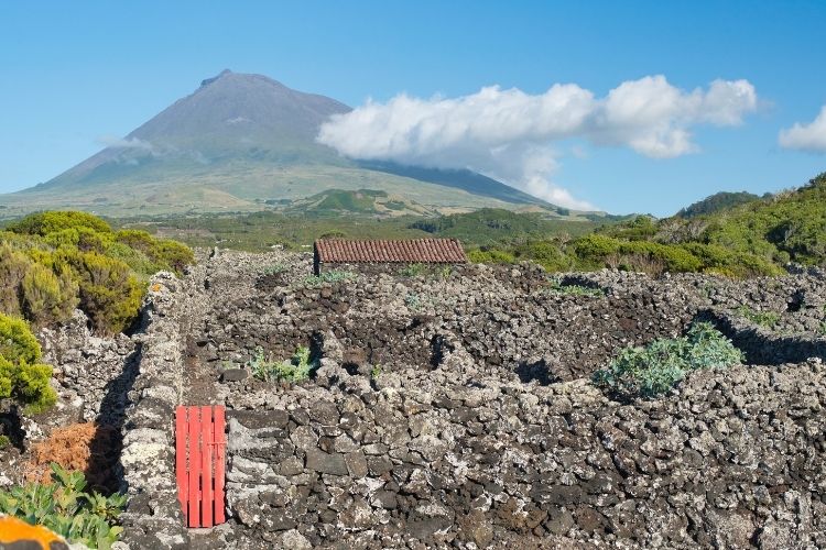 ilha do pico açores