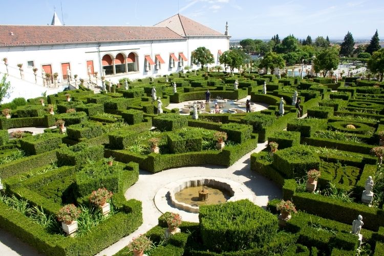 castelo branco em portugal