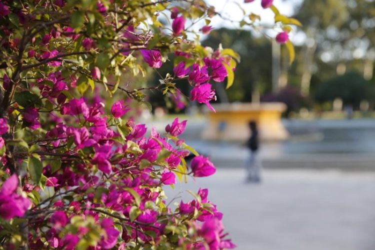 Os 5 principais destinos das férias de primavera para estudantes  universitários (2022)