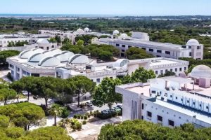 Universidade-do-Algarve-em-Portugal-cursos-e-valores.jpg