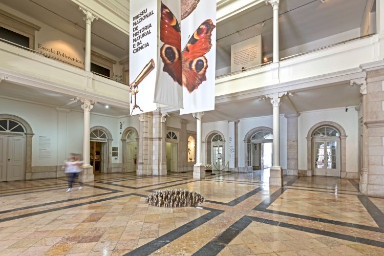 Museus de Lisboa: Museu Nacional de História Natural e da Ciência