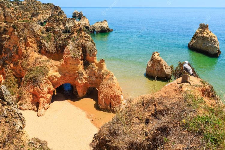 Praia Três Irmãos (Foto - Freepik)