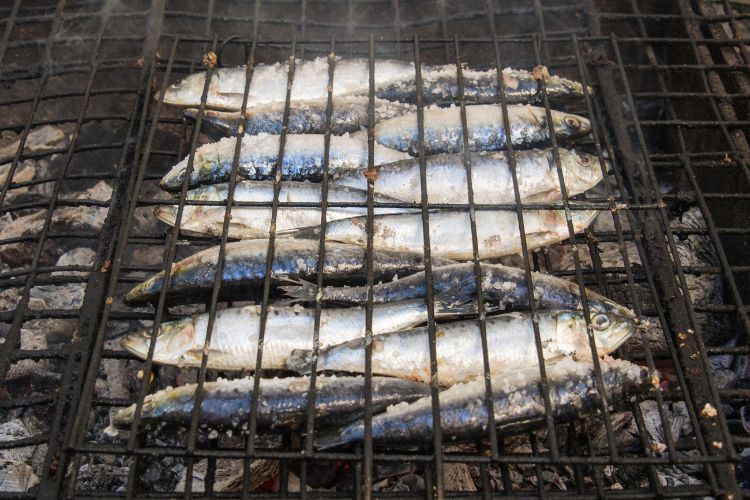 Por que escolher Portugal para morar  Sardinhas na brasa.