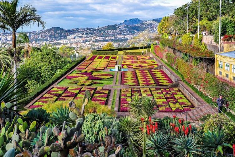 jardim botânico em coimbra