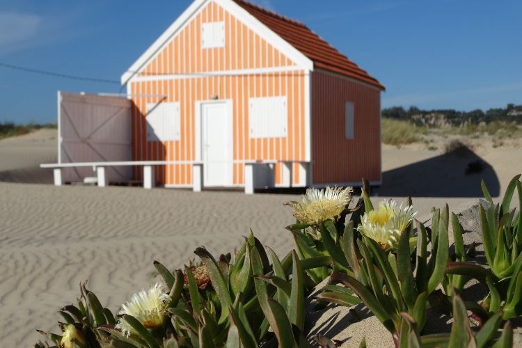 Praia da Costa da Caparica